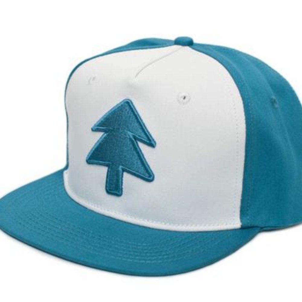 Cartoon Fans Dipper Aqua Pine Flat Hat Embroidered Unisex Adult Gravity Falls Ca